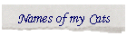Names of my Cats
