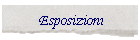 Esposizioni
