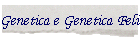Genetica e Genetica Felina