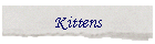 Kittens