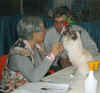 20030104pdedjemgiudizio.jpg (61520 byte)