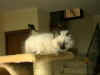 20011202exw.jpg (31071 byte)