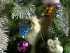 20011208elalbero.jpg (62543 byte)