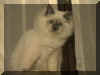 20011226jilex3w.jpg (26910 byte)