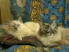 20020414vielemy.jpg (90304 byte)