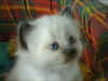 211001ex2w.jpg (23680 byte)