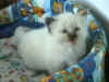 211001exw.jpg (42003 byte)