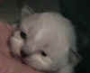 20020603fgx.jpg (6999 byte)