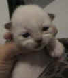 20020603mpx.jpg (7259 byte)