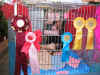 20030125artuexpovr.jpg (65640 byte)