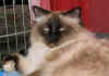 200301artuexpovr2.jpg (42656 byte)
