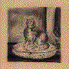 gatofernandobotero.gif (57085 byte)