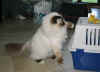 20030504floriant0002x.jpg (52673 byte)