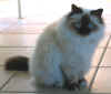 20030504floriant0005x.jpg (37834 byte)