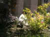 20020524vielgiardino.jpg (58238 byte)