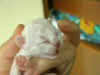 20020526smallfemalex.jpg (14891 byte)