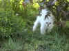 20020728foolerbax.jpg (60130 byte)