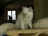 20020825fool3x.jpg (27250 byte)