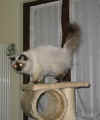 20030325floriant0008x.jpg (60454 byte)